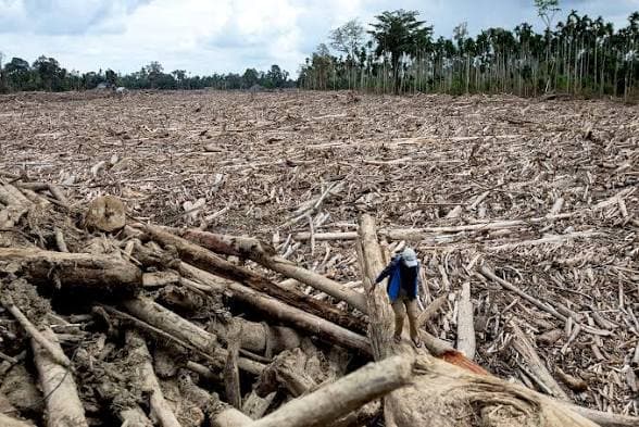 Bantuan Darurat untuk Korban Banjir di Aceh